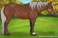 Horse Color:Silver Bay