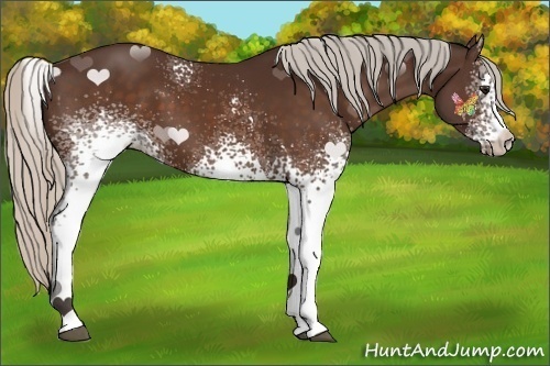 Horse Color:White Spotted Silver Bay 