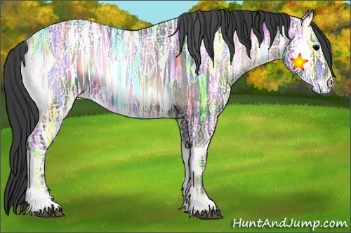 Horse Color:Blue Onyx Ice