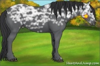 Horse Color:Black Ice