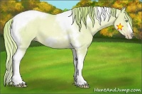 Horse Color:Watercolor Gold Champagne Dun Tobiano Frame 