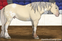 Horse Color:Gray Silver Amber Cream Champagne Ice Dun