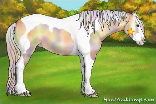 Horse Color:Nacre Silver Buckskin Onyx Splash Tobiano 