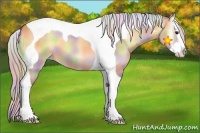 Horse Color:Nacre Silver Buckskin Onyx Splash Tobiano
