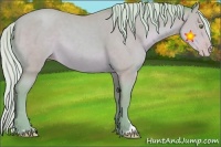 Horse Color:Watercolor Silver Classic Champagne Sabino 
