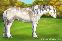 Horse Color:Classic Champagne Onyx Sabino