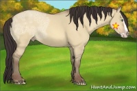 Horse Color:Amber Champagne Ice Dun Splash 