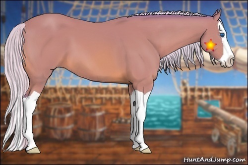 Horse Color:Watercolor Silver Bay Splash 