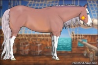 Horse Color:Watercolor Silver Bay Splash 