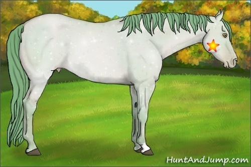 Horse Color:Watercolor Bay Pearl Dun 
