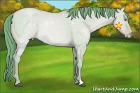 Horse Color:Watercolor Bay Pearl Dun 