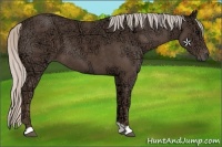 Horse Color:Silver Black Ice 