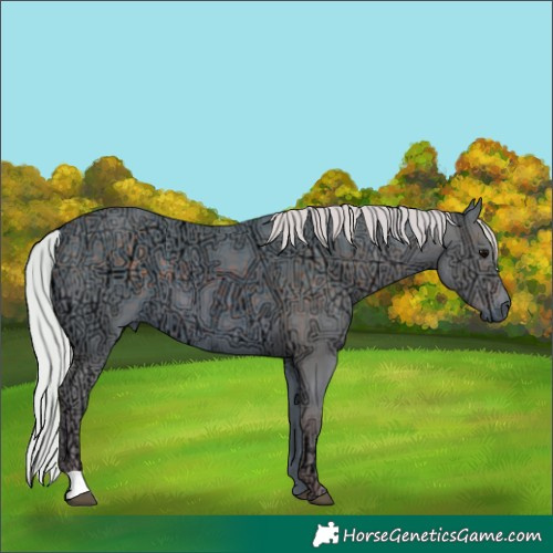 Horse Color:Watercolor Silver Black Ice 