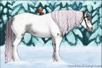 Horse Color:Painted Grullo Splash Tobiano Frame Rabicano 