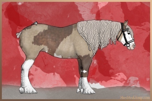 Horse Color:Silver Black Splash and Silver Grullo Splash Rabicano