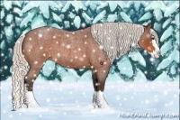 Horse Color:Silver Bay Roan Splash 