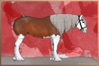 Horse Color:Silver Brown Splash 