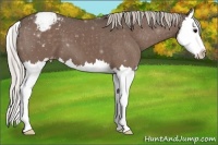 Horse Color:Silver Black Sabino Splash Varnish 