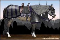 Horse Color:Brown Dun