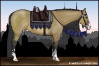 Horse Color:Brown Dun Sabino 