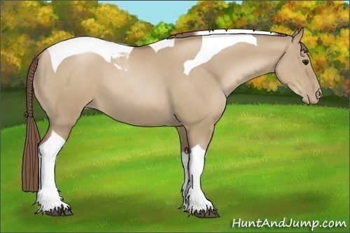 Horse Color:Grullo Pearl Tobiano
