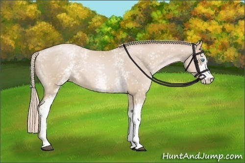 Horse Color:White Spotted Palomino Pearl 