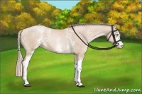 Horse Color:White Spotted Palomino Pearl 