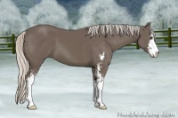 Horse Color:Silver Black Sabino 