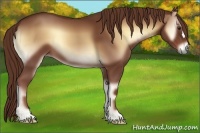 Horse Color:Red Onyx 