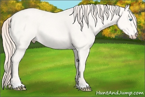 Horse Color:Perlino 