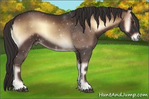 Horse Color:Liver Red Onyx 