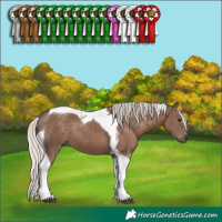 Horse Color:Silver Black Sabino Tobiano 