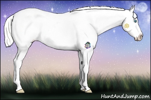 Horse Color:Silver Perlino Dun Snowflake Varnish