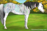 Horse Color:Black Ice Splash 