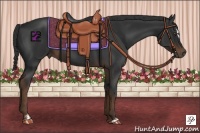Horse Color:Liver Chestnut Sabino 
