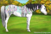 Horse Color:Black Ice Splash 