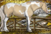 Horse Color:Silver Classic Champagne Dun Sabino Tobiano 