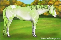 Horse Color:Watercolor White Spotted Red Onyx Roan Splash Varnish