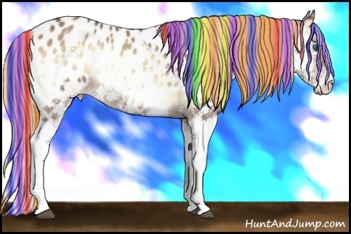 Horse Color:Painted White Spotted Red Onyx Splash Appaloosa 