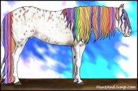 Horse Color:Painted White Spotted Red Onyx Splash Appaloosa 