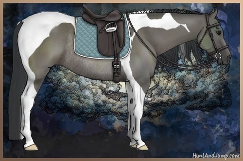 Horse Color:Grullo Tobiano Rabicano