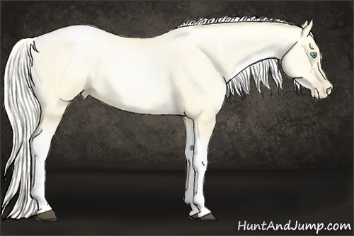 Horse Color:Silver Buckskin Pearl Dun Tobiano 