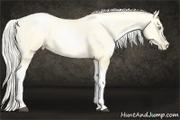 Horse Color:Silver Buckskin Pearl Dun Tobiano