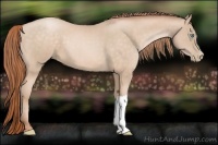 Horse Color:Buckskin Pearl 
