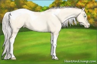 Horse Color:Silver Amber Cream Champagne Roan Pearl Tobiano 