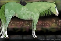 Horse Color:Watercolor Liver Chestnut Ice Splash Rabicano 