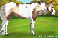 Horse Color:Silver Bay Onyx Sabino Splash Tobiano