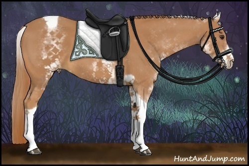 Horse Color:White Spotted Chestnut Tobiano 