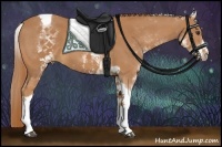 Horse Color:White Spotted Chestnut Tobiano