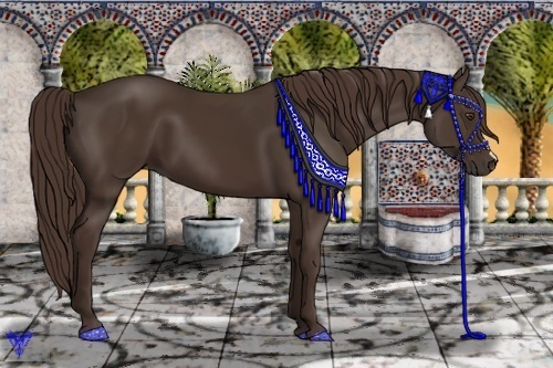 Horse Color:Liver Chestnut 